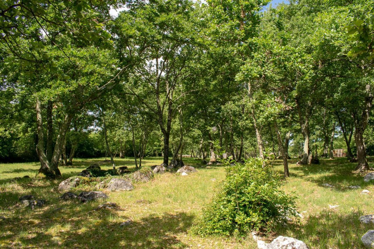 Hotel Bikers Camp Poreč Zewnętrze zdjęcie