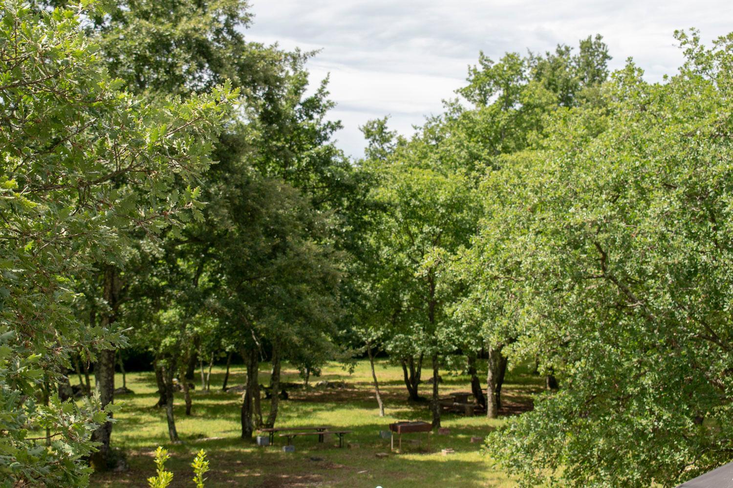 Hotel Bikers Camp Poreč Zewnętrze zdjęcie