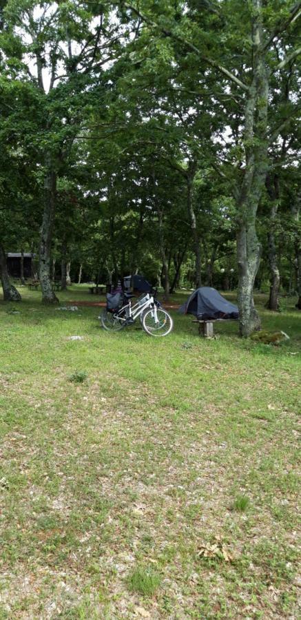 Hotel Bikers Camp Poreč Zewnętrze zdjęcie